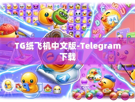 TG纸飞机中文版-Telegram下载