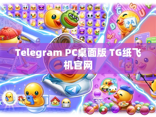 Telegram PC桌面版 TG纸飞机官网