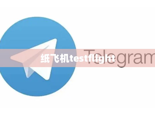 纸飞机testflight