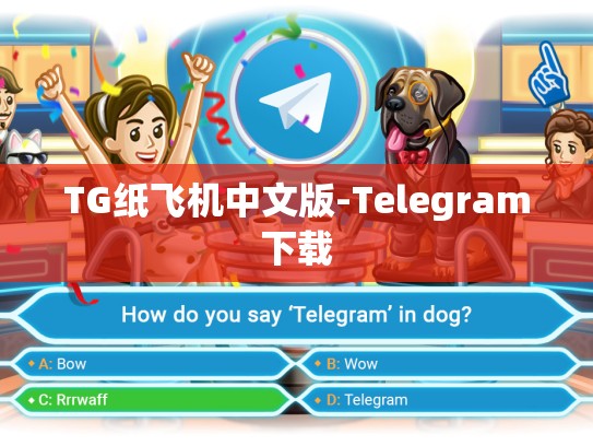 TG纸飞机中文版-Telegram下载