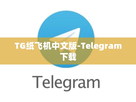 TG纸飞机中文版-Telegram下载