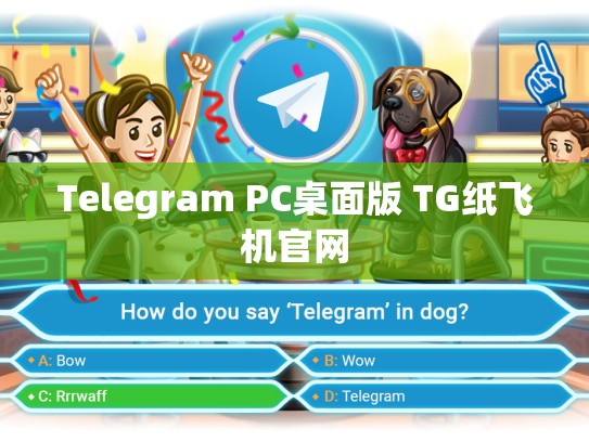 Telegram PC桌面版 TG纸飞机官网