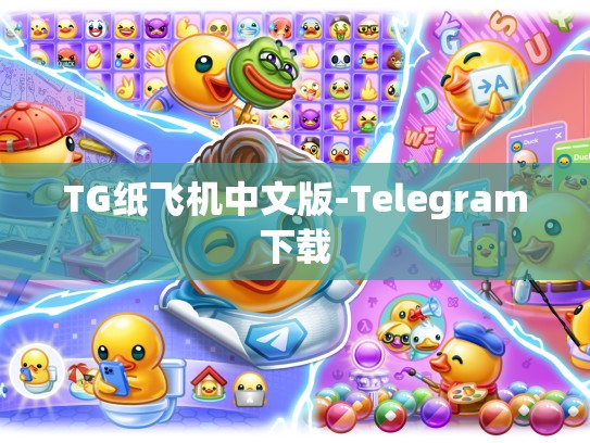 TG纸飞机中文版-Telegram下载