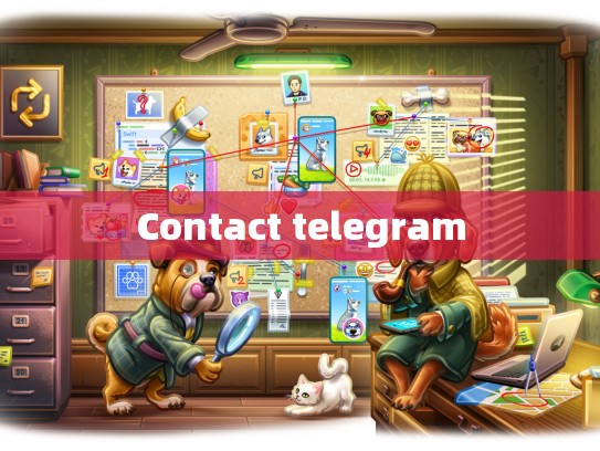 Contact telegram