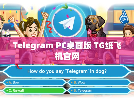 Telegram PC桌面版 TG纸飞机官网