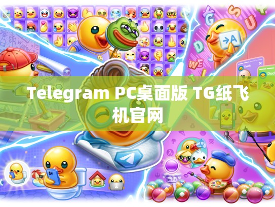 Telegram PC桌面版 TG纸飞机官网