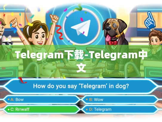 Telegram下载-Telegram中文
