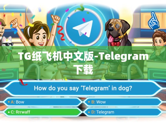 TG纸飞机中文版-Telegram下载