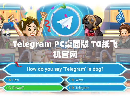 Telegram PC桌面版 TG纸飞机官网
