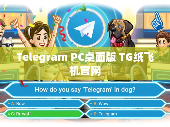 Telegram PC桌面版 TG纸飞机官网