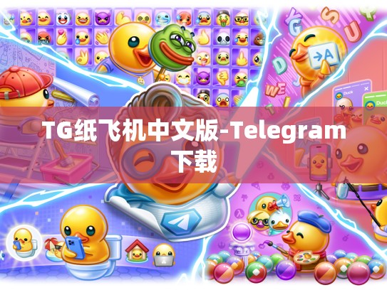TG纸飞机中文版-Telegram下载