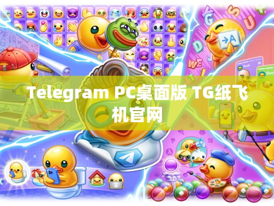 Telegram PC桌面版 TG纸飞机官网