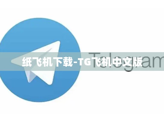 纸飞机下载-TG飞机中文版