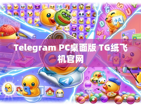 Telegram PC桌面版 TG纸飞机官网