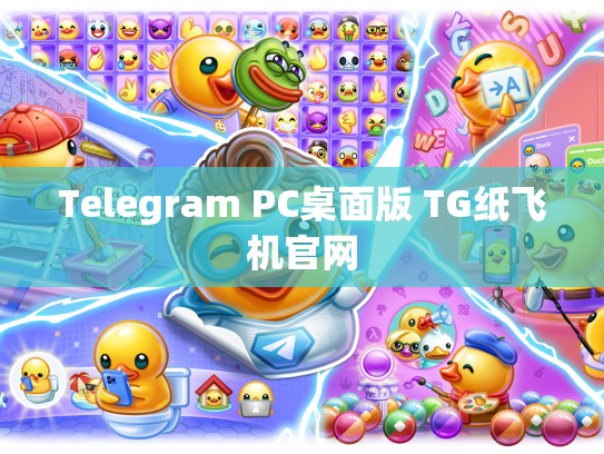 Telegram PC桌面版 TG纸飞机官网