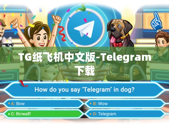 TG纸飞机中文版-Telegram下载