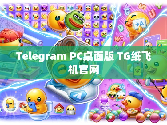 Telegram PC桌面版 TG纸飞机官网