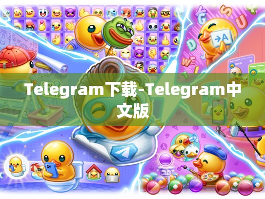 Telegram下载-Telegram中文版