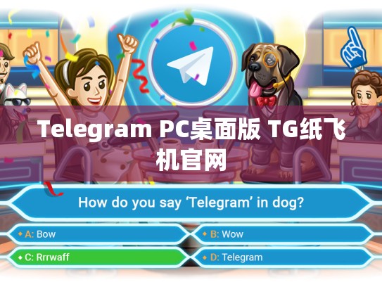 Telegram PC桌面版 TG纸飞机官网