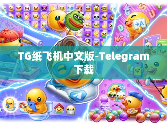 TG纸飞机中文版-Telegram下载