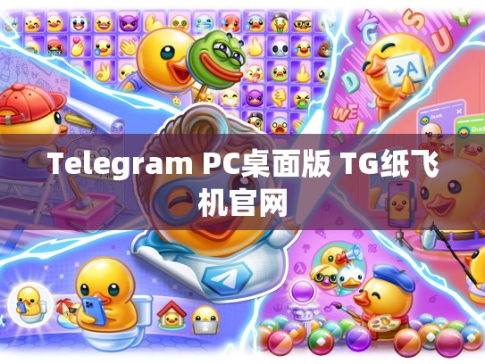 Telegram PC桌面版 TG纸飞机官网