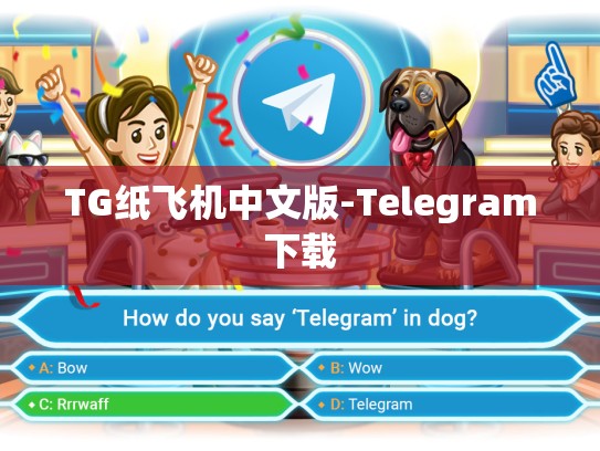 TG纸飞机中文版-Telegram下载