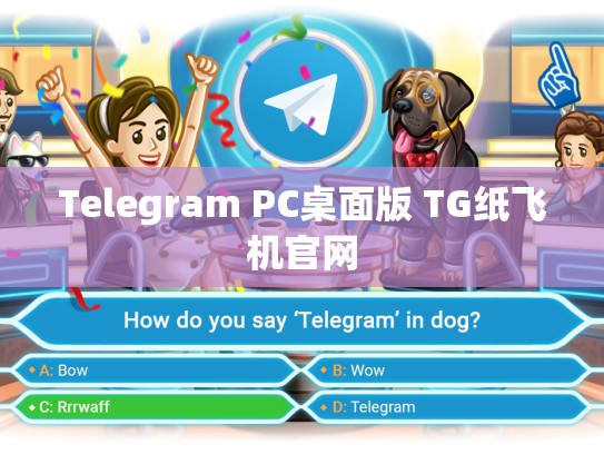 Telegram PC桌面版 TG纸飞机官网