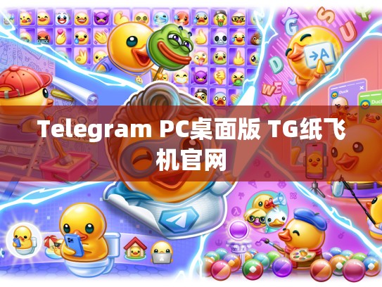 Telegram PC桌面版 TG纸飞机官网