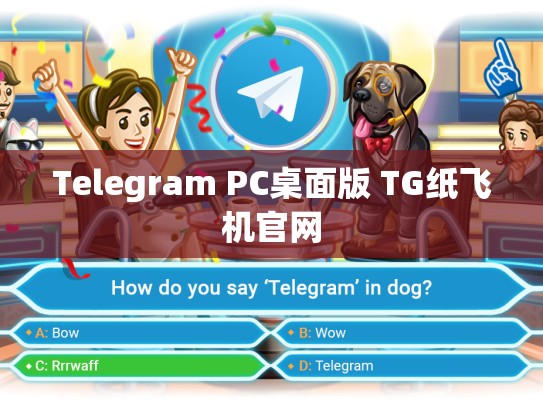 Telegram PC桌面版 TG纸飞机官网