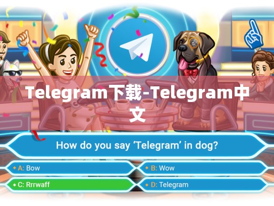 Telegram下载-Telegram中文