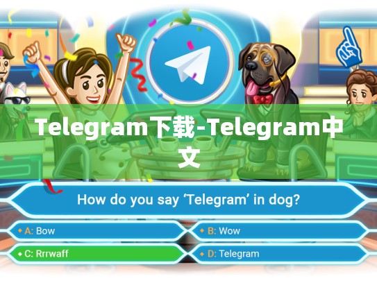 Telegram下载-Telegram中文