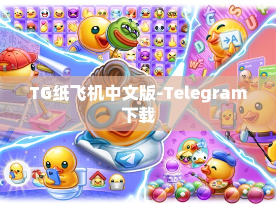 TG纸飞机中文版-Telegram下载