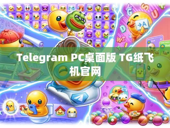 Telegram PC桌面版 TG纸飞机官网