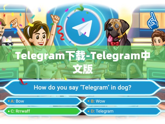 Telegram下载-Telegram中文版