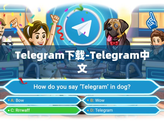 Telegram下载-Telegram中文