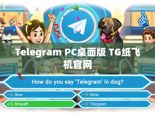 Telegram PC桌面版 TG纸飞机官网