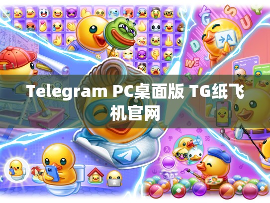 Telegram PC桌面版 TG纸飞机官网