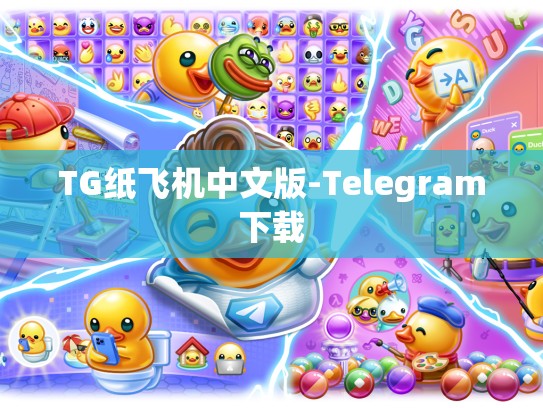 TG纸飞机中文版-Telegram下载