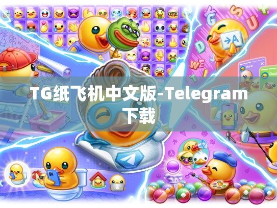 TG纸飞机中文版-Telegram下载