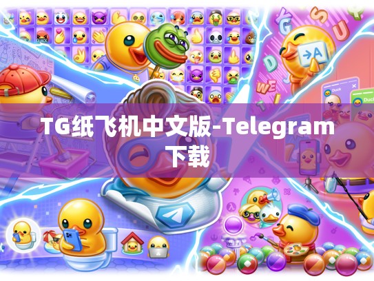 TG纸飞机中文版-Telegram下载