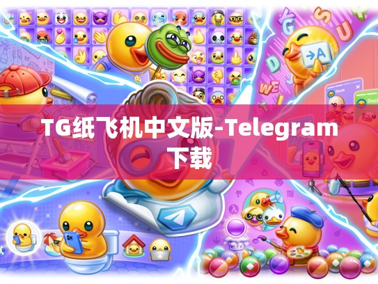 TG纸飞机中文版-Telegram下载