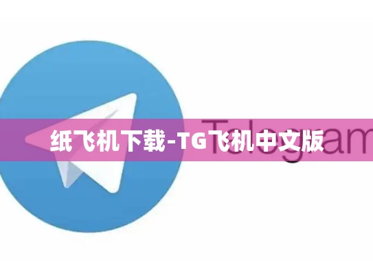 纸飞机下载-TG飞机中文版