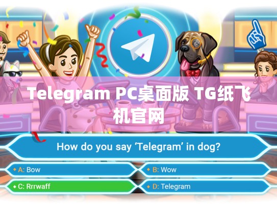 Telegram PC桌面版 TG纸飞机官网