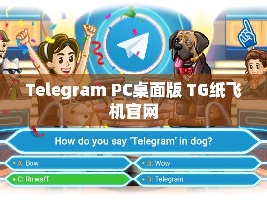 Telegram PC桌面版 TG纸飞机官网
