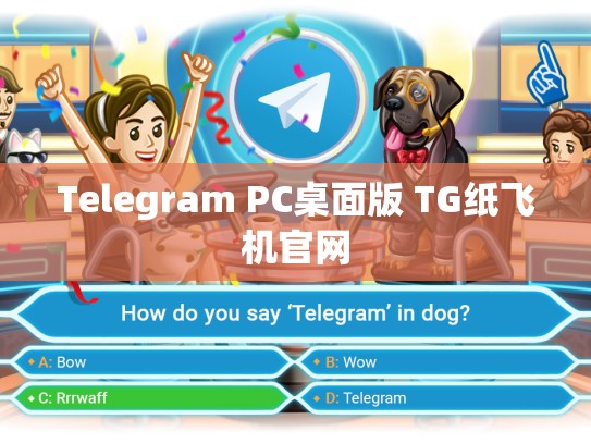 Telegram PC桌面版 TG纸飞机官网
