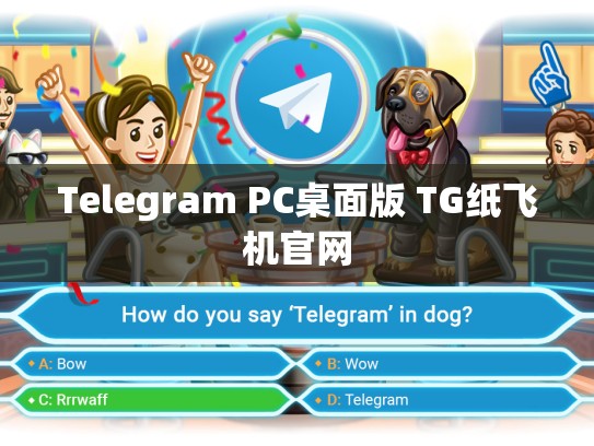 Telegram PC桌面版 TG纸飞机官网