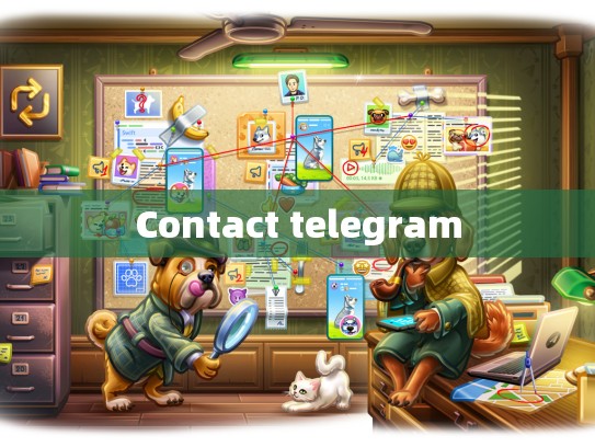 Contact telegram