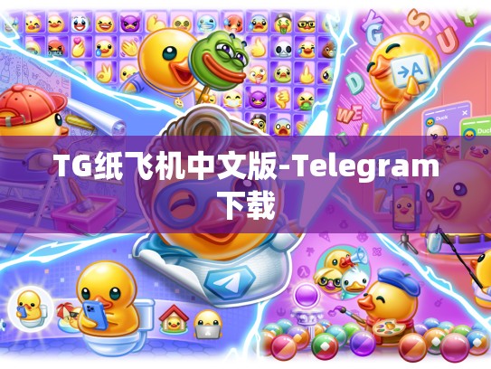 TG纸飞机中文版-Telegram下载