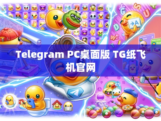 Telegram PC桌面版 TG纸飞机官网