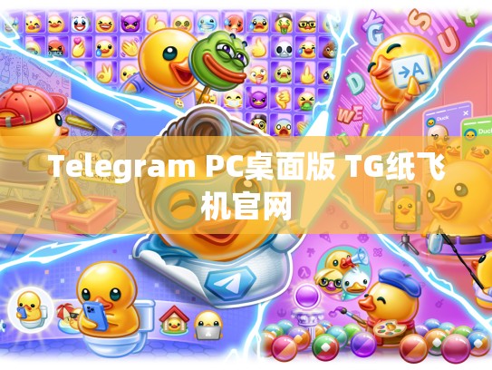 Telegram PC桌面版 TG纸飞机官网